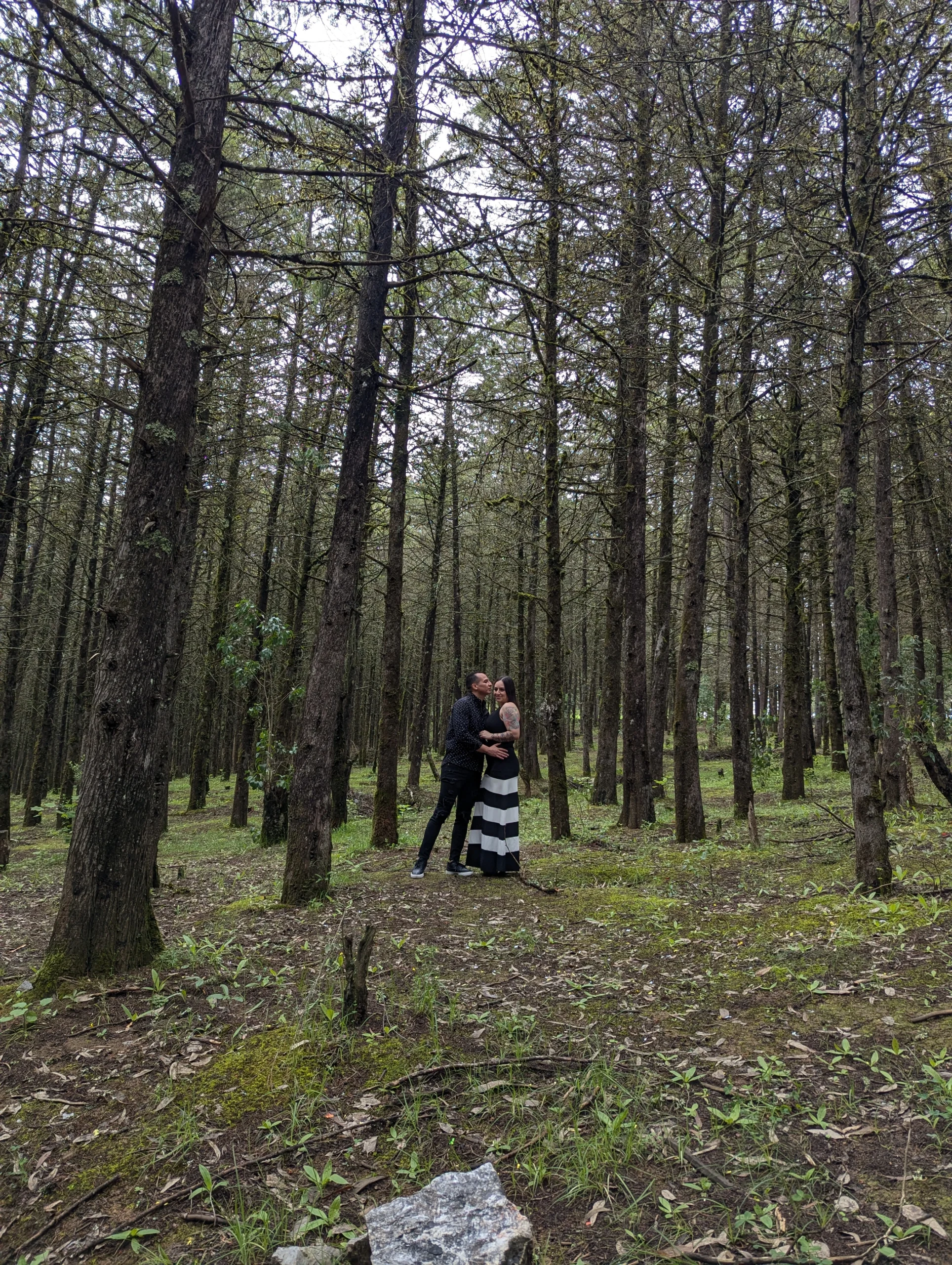 Bethsabee y Daniel, foto 5